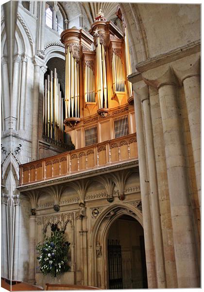 The Pipes At Norwich Cathedral Canvas Print by Mark Lee