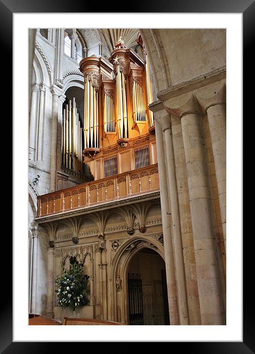 The Pipes At Norwich Cathedral Framed Mounted Print by Mark Lee
