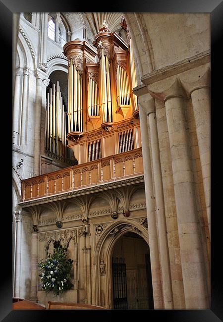 The Pipes At Norwich Cathedral Framed Print by Mark Lee