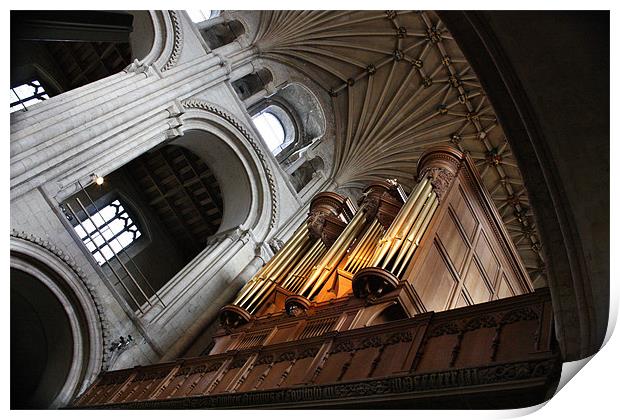 The Organ Pipes Of Norwich Carhedral Print by Mark Lee