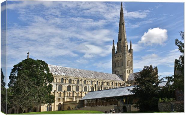 Norwich Cathedral Norwich UK Canvas Print by Mark Lee