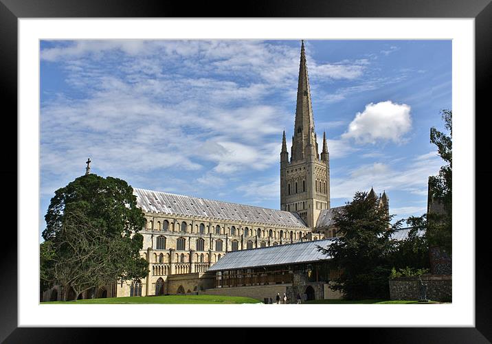 Norwich Cathedral Norwich UK Framed Mounted Print by Mark Lee
