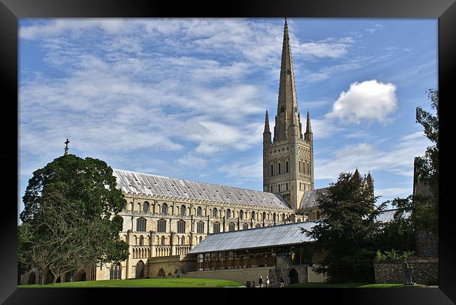 Norwich Cathedral Norwich UK Framed Print by Mark Lee