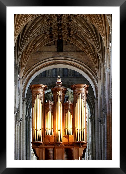 The Pipes Of Norwich Cathedral Framed Mounted Print by Mark Lee