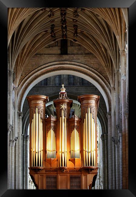 The Pipes Of Norwich Cathedral Framed Print by Mark Lee