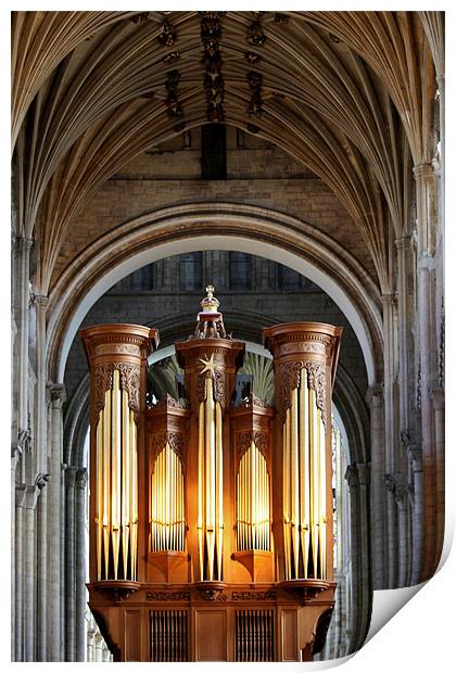 The Pipes Of Norwich Cathedral Print by Mark Lee