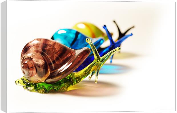 Glass Snails Canvas Print by Adrian Wilkins