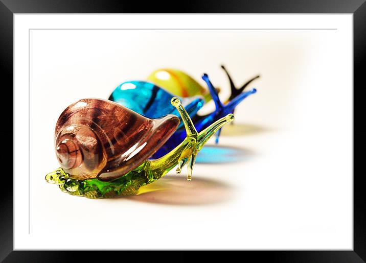 Glass Snails Framed Mounted Print by Adrian Wilkins
