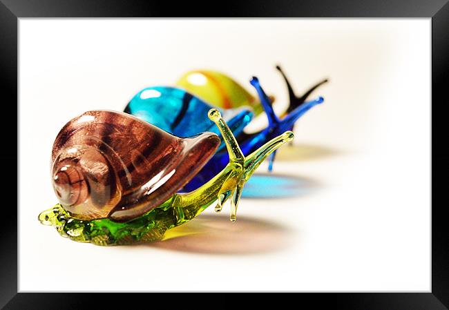 Glass Snails Framed Print by Adrian Wilkins