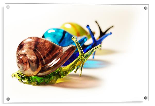 Glass Snails Acrylic by Adrian Wilkins