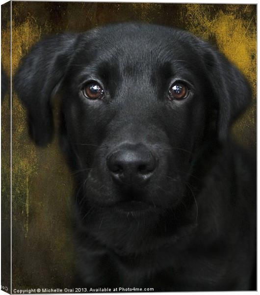 Black Lab Pup Canvas Print by Michelle Orai