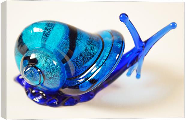 Blue Glass Snail Canvas Print by Adrian Wilkins