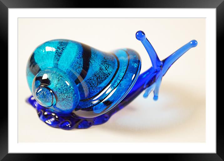 Blue Glass Snail Framed Mounted Print by Adrian Wilkins