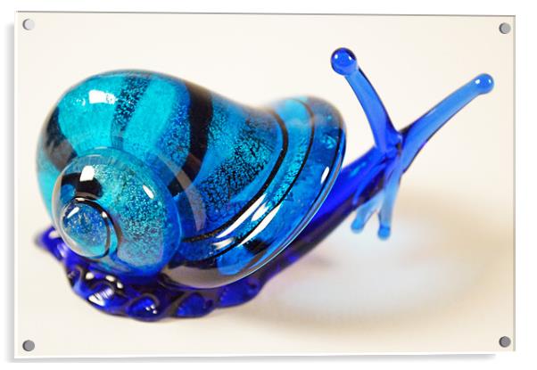 Blue Glass Snail Acrylic by Adrian Wilkins