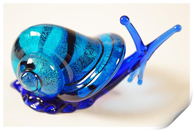 Blue Glass Snail Print by Adrian Wilkins
