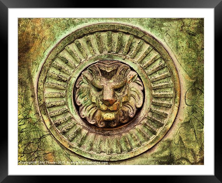 Majestic Lion Guardian Framed Mounted Print by Chris Thaxter