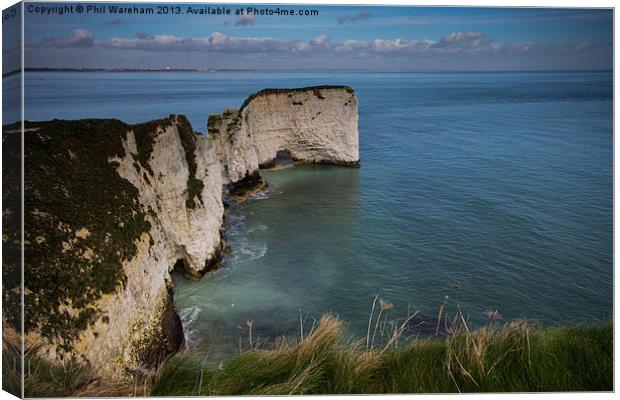 Old Harry Canvas Print by Phil Wareham