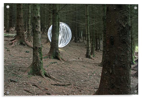 forest dreams Acrylic by Gavin Wilson