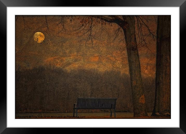 A PARK BENCH Framed Mounted Print by Tom York