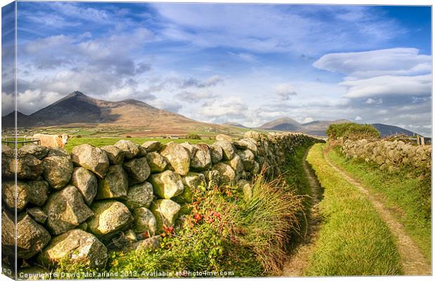 Rural pathway into the Mournes Canvas Print by David McFarland