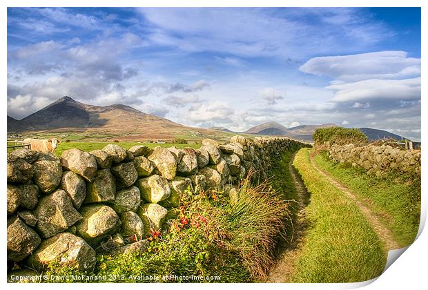 Rural pathway into the Mournes Print by David McFarland