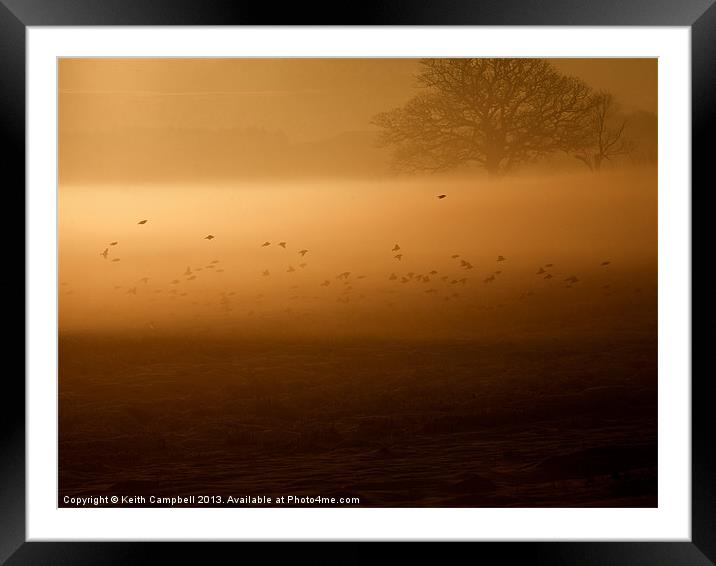 Dawn Hunters Framed Mounted Print by Keith Campbell