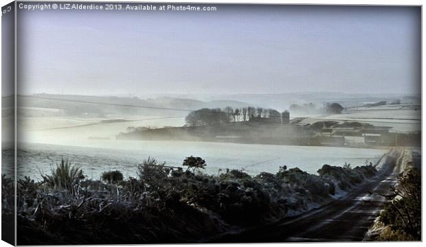 A Touch of Mist in Aberdeenshire Canvas Print by LIZ Alderdice