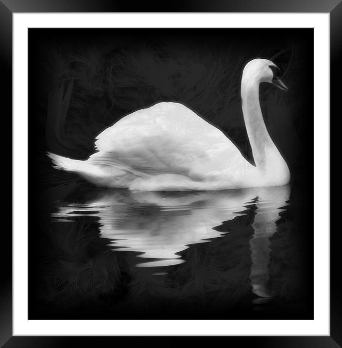 Blackwater Reflections Framed Mounted Print by Chris Manfield