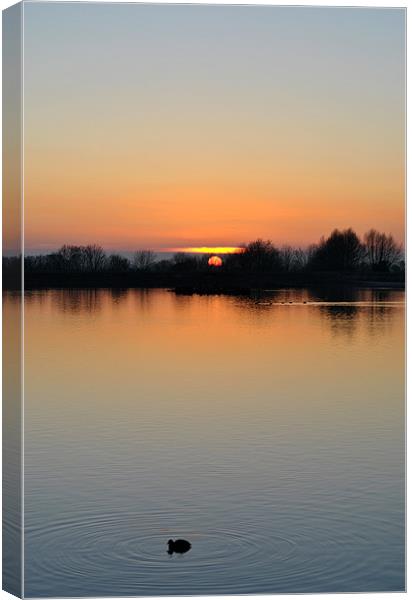 A Paddle at Sunset Canvas Print by graham young