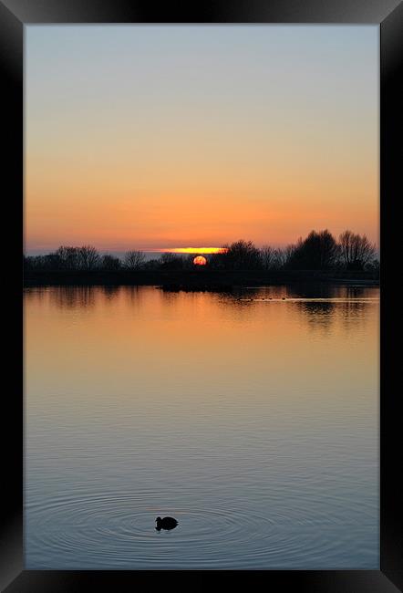 A Paddle at Sunset Framed Print by graham young