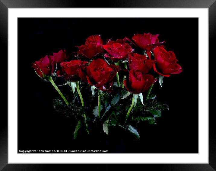 Red Roses Framed Mounted Print by Keith Campbell