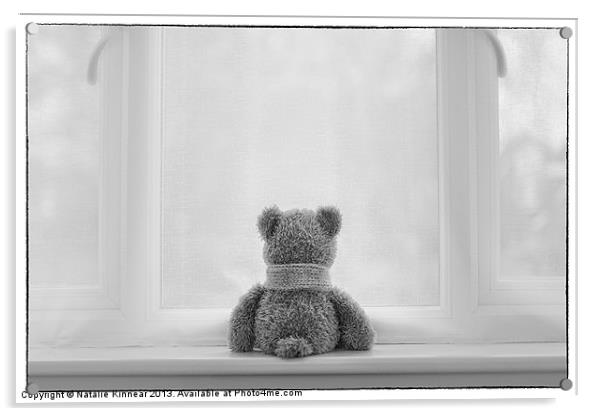 Teddy Bear Waiting Acrylic by Natalie Kinnear