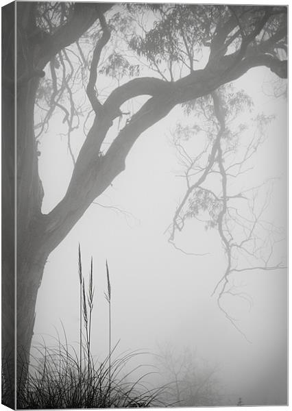Hillside Mist Canvas Print by Nigel Gooding