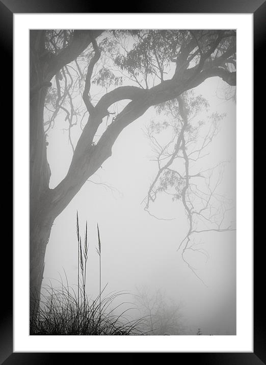 Hillside Mist Framed Mounted Print by Nigel Gooding