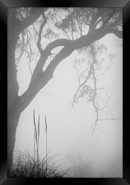 Hillside Mist Framed Print by Nigel Gooding