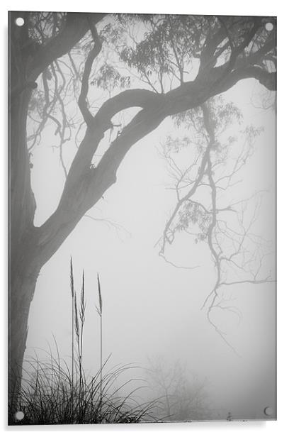 Hillside Mist Acrylic by Nigel Gooding