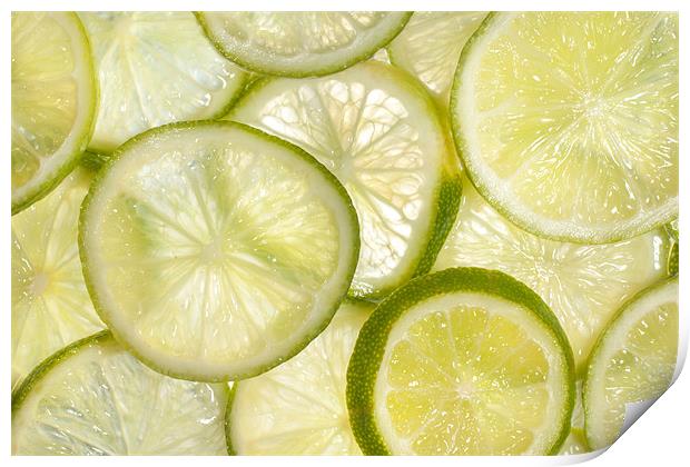 Limes Print by Nigel Gooding