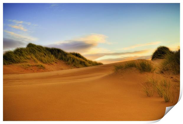 Beach Dunes Print by Don Alexander Lumsden