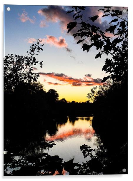 River Sunset Acrylic by Mark Llewellyn
