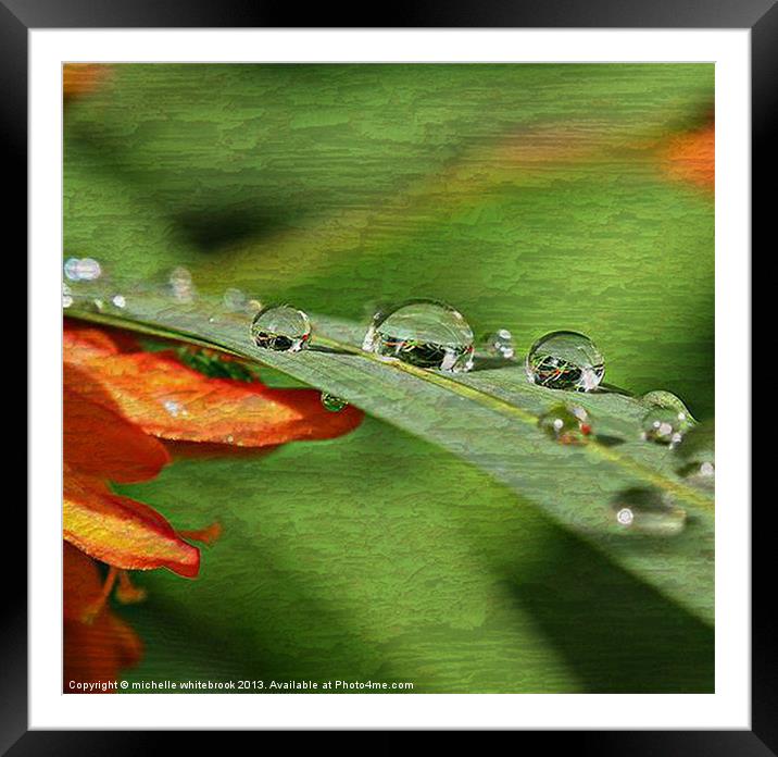 Raindrops Framed Mounted Print by michelle whitebrook