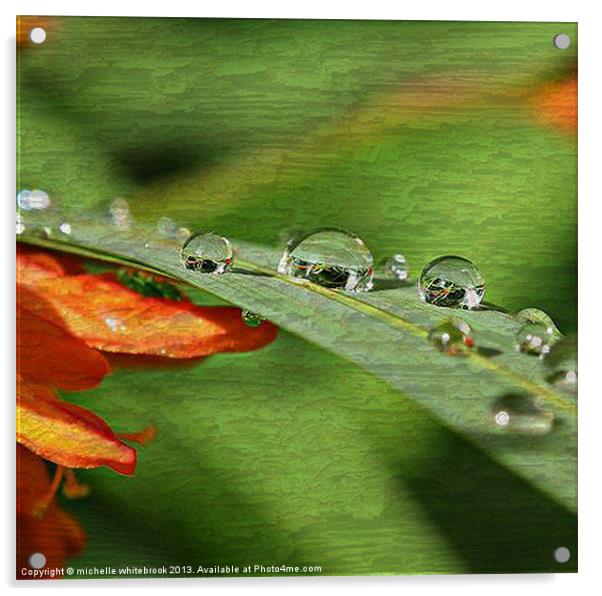Raindrops Acrylic by michelle whitebrook