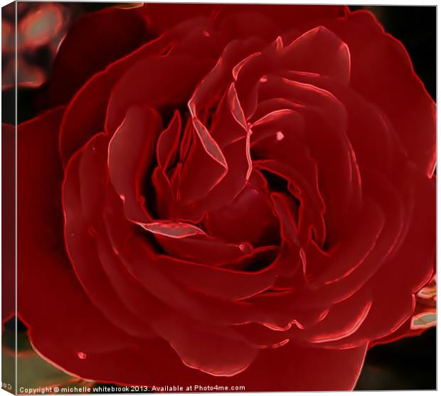 Red Rose Canvas Print by michelle whitebrook