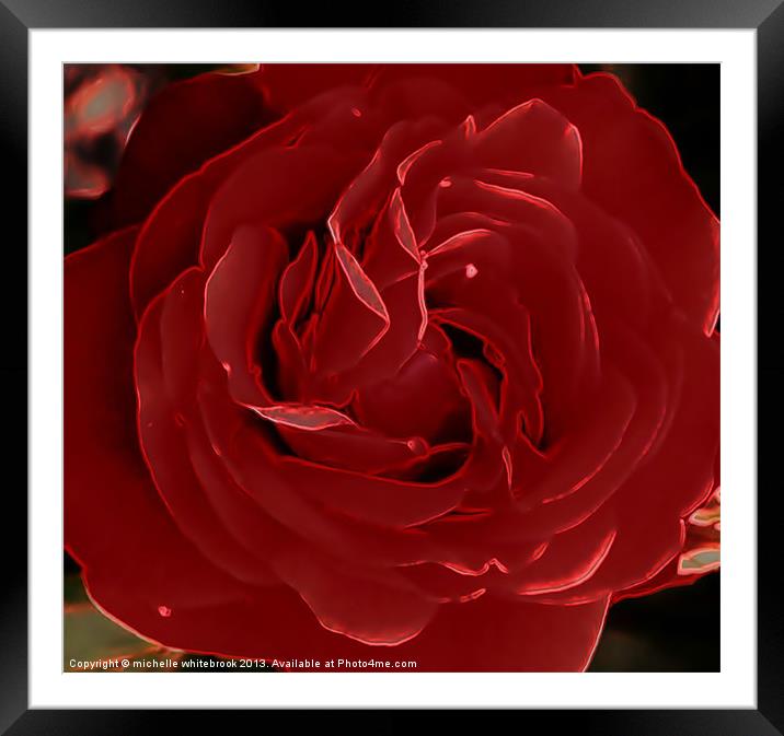 Red Rose Framed Mounted Print by michelle whitebrook