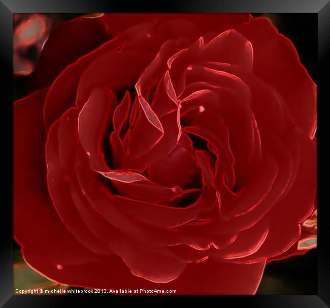 Red Rose Framed Print by michelle whitebrook