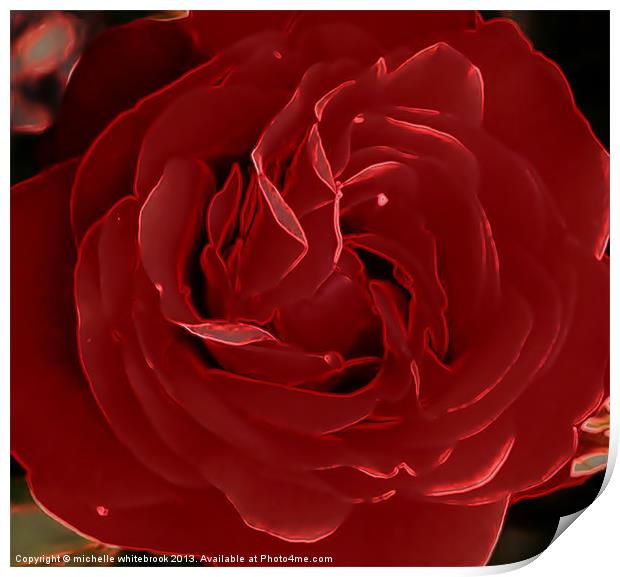 Red Rose Print by michelle whitebrook