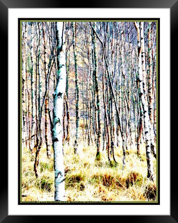 The Birches Framed Mounted Print by Laura McGlinn Photog