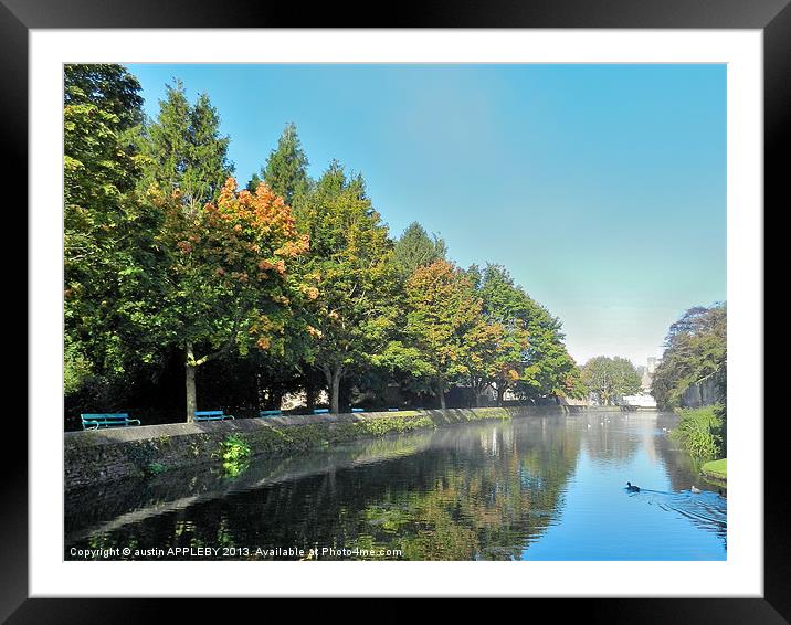 AUTUMN TREE REFLECTIONS WELLS MOAT Framed Mounted Print by austin APPLEBY