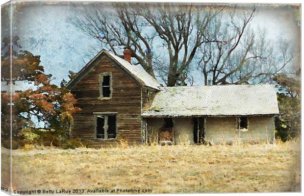 Old Abandoned Farm House Canvas Print by Betty LaRue
