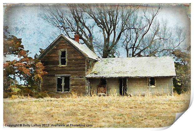 Old Abandoned Farm House Print by Betty LaRue