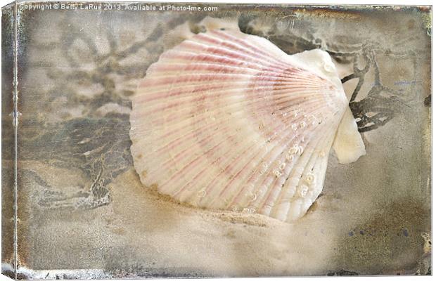 Seashell On The Beach Canvas Print by Betty LaRue